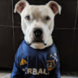 Meet your Posher, Gerald